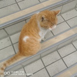 豆友142670506