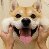 别来无恙
