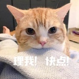 大海里的棒棒糖