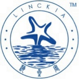 linckia海星客