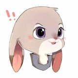 堇沉然