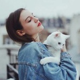 只想睡觉的猫