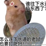 不行