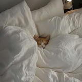 夜班平安球球了
