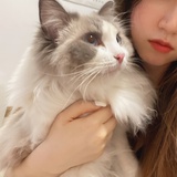 Mia