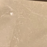 蛋白