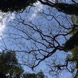 小明
