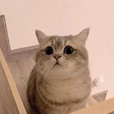 可可樂吶