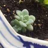 一生所爱
