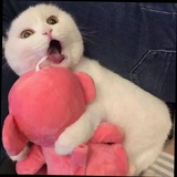 女