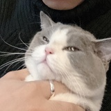 Hey