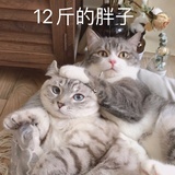 拾荒者