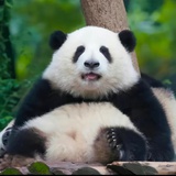 没有名字