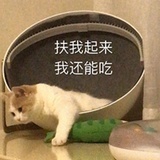 肥豆下锅