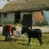 丸山三好🪨🌱