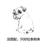 等风来