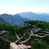 万法归宗
