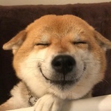 后来多美