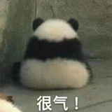 提子🍇