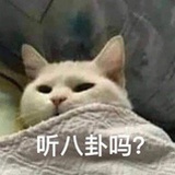 啊哦
