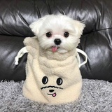 nanuma