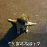 大大大可爱是我
