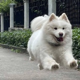 任仁