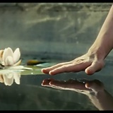 风无筝 