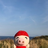 德昭家的懒郡主