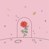 今天还是ok的💕