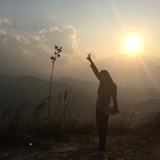 木糖醇Holiday