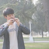 叶光照