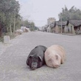 你是谁