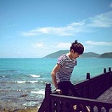 家奇。