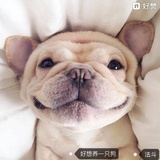梦想家小孔