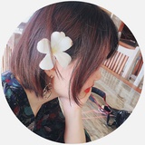 bbbloom