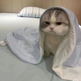 天生荔质