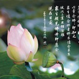 守榆