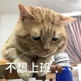 学习绘画