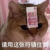 王紫电下