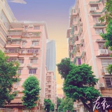 可能是只花福蝶