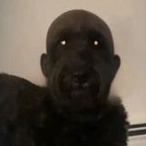纯属搞笑