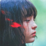 梨梨菰