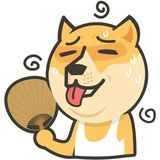 飞翔的dog