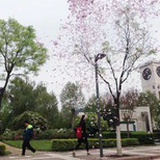 无敌多啦铭