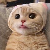 粉红的一天