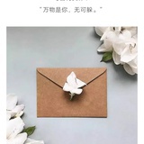啊啊董