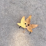 是你爸爸啊_