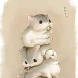 木颜词