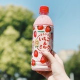 骗子小姐